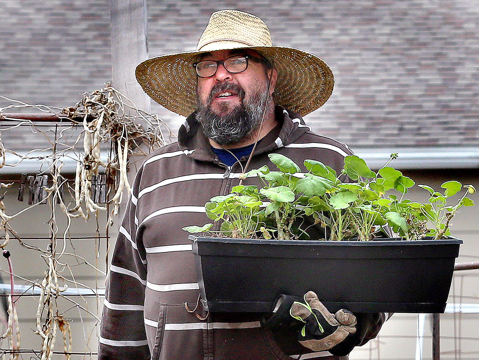 Victory Garden